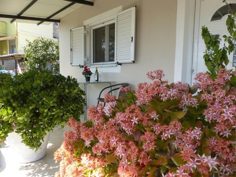 Michaels Flower House Kanálion Exterior photo